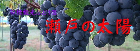 日積観光ぶどう園　瀬戸の太陽