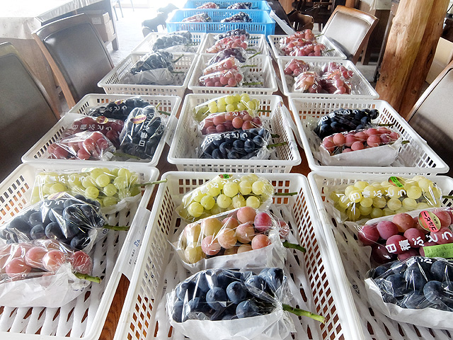 ８月２５日の写真です。